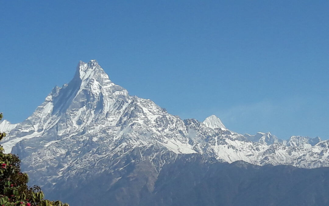 Gill in Nepal